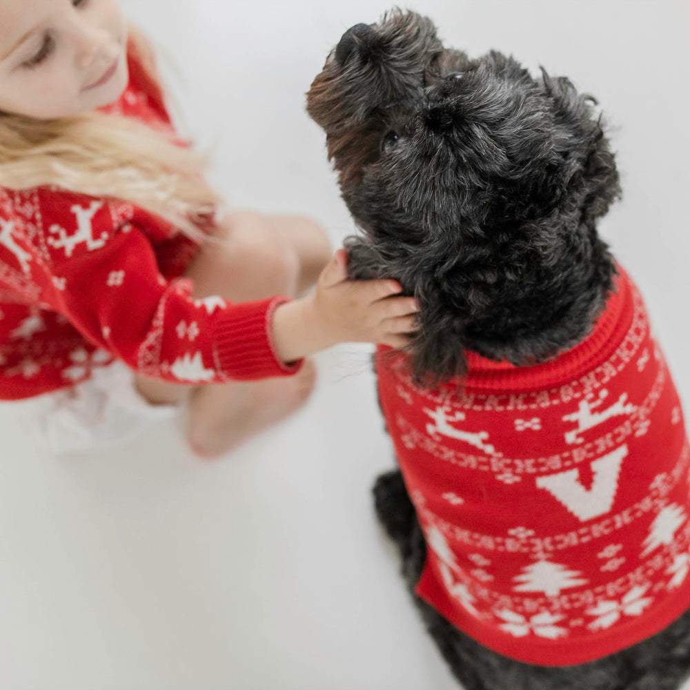 Knitted Furry Friend Dog Christmas Jumpers